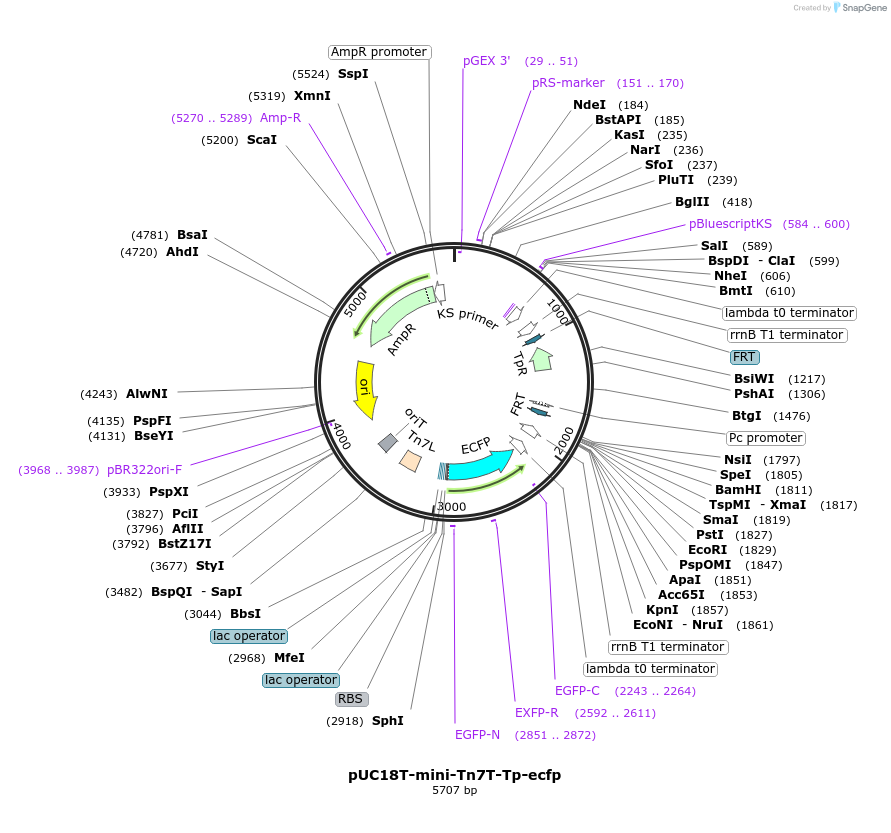109982_map
