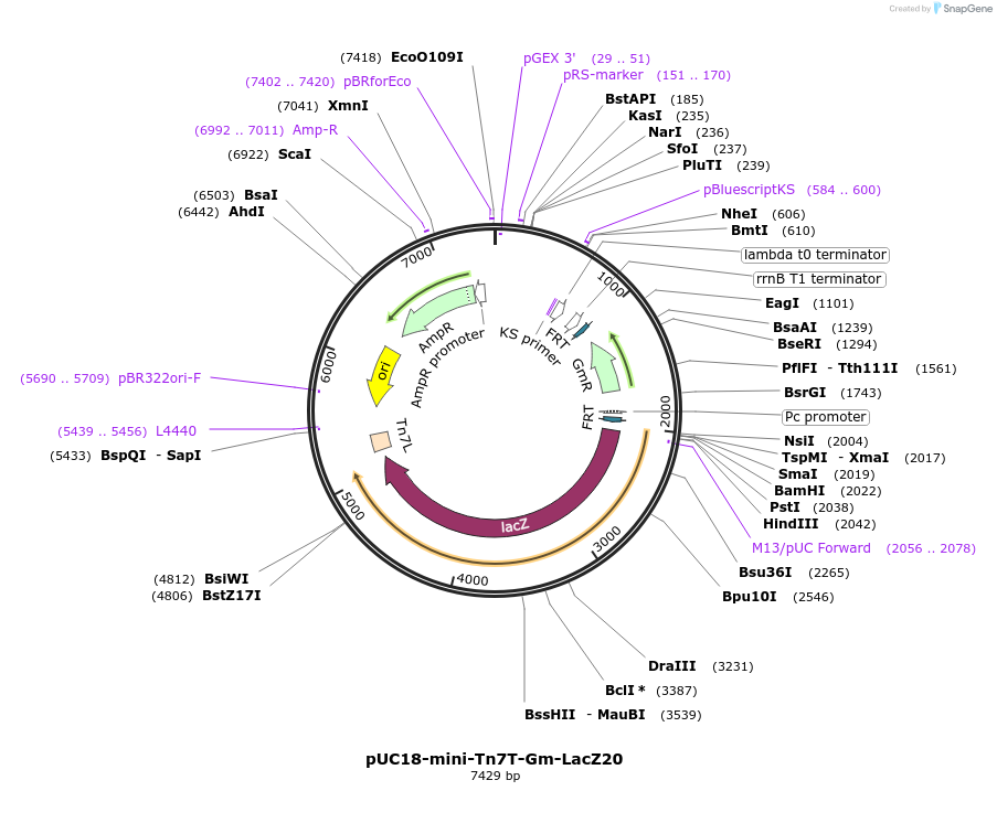 109989_map