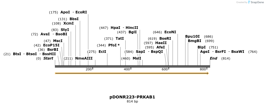 10999_map