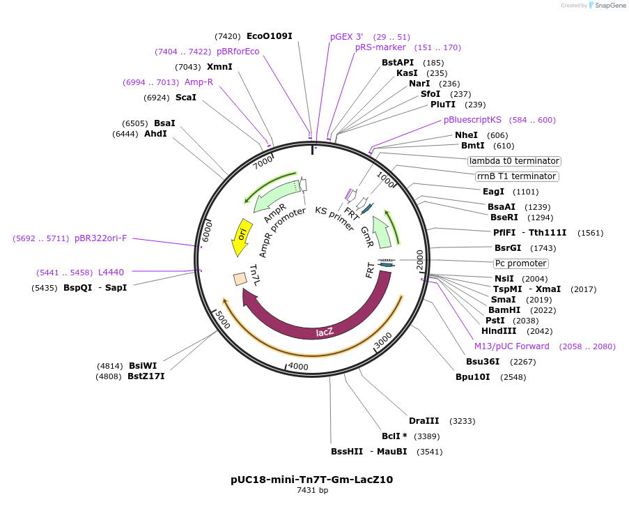109990_map