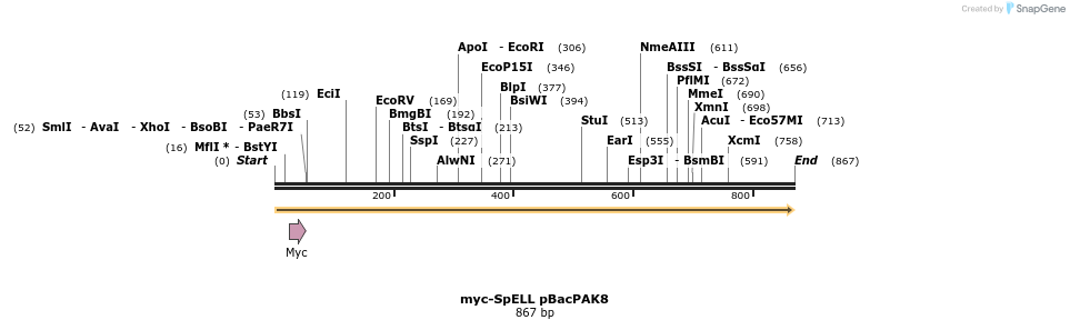 109996_map