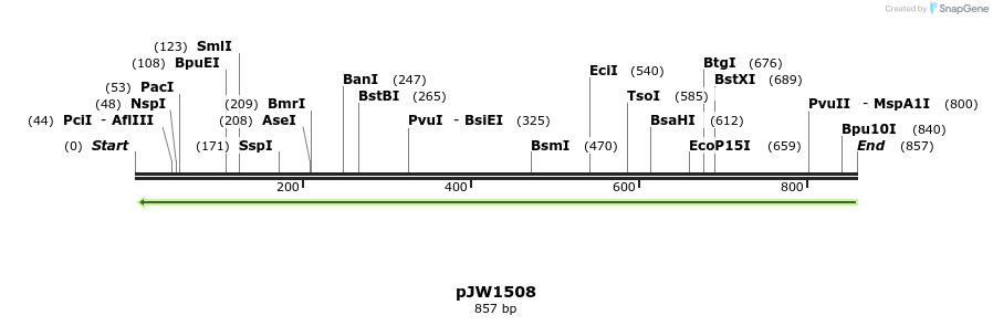 110026_map