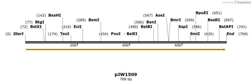 110028_map