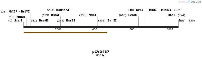 110039_map