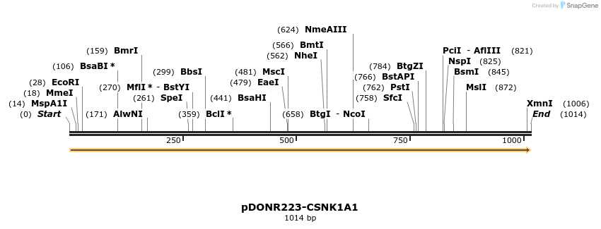 11004_map