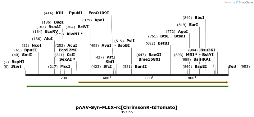 110040_map