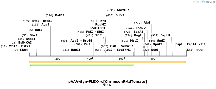 110048_map