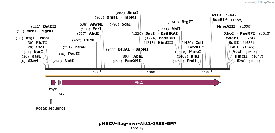 110071_map