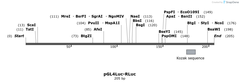 110082_map