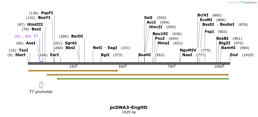 110089_map