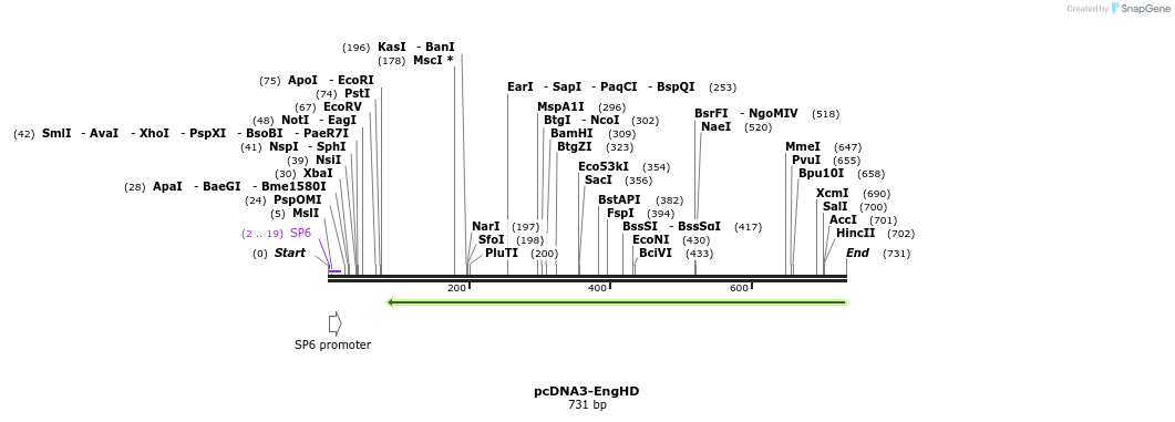 110092_map