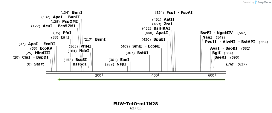 110093_map