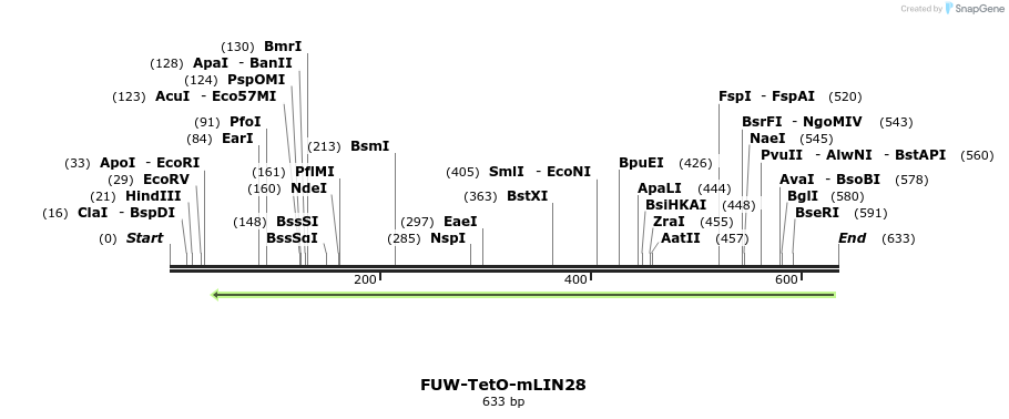 110095_map