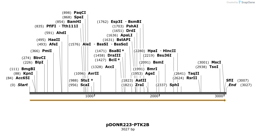 11011_map