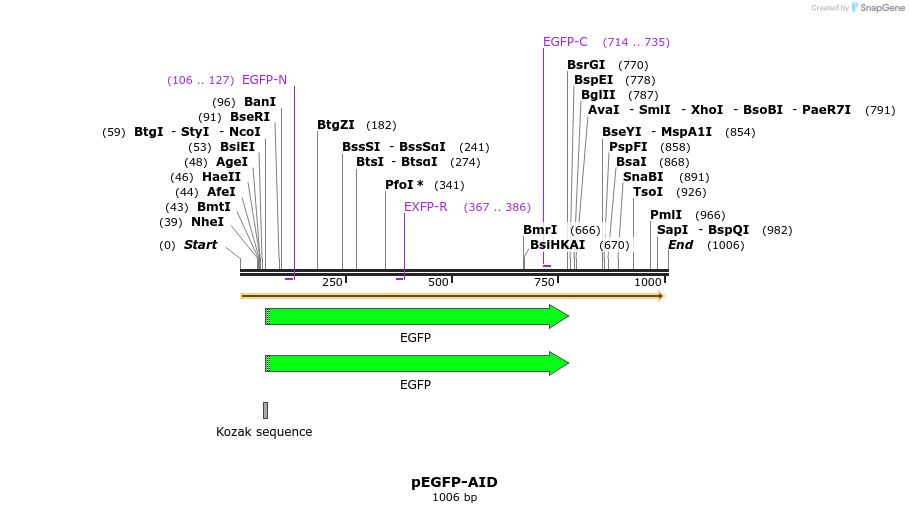 110111_map