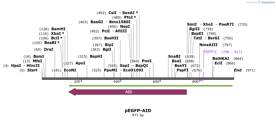 110112_map