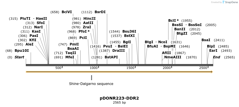 11012_map