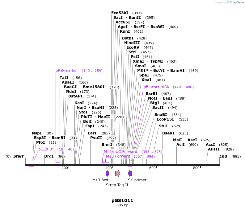 110120_map