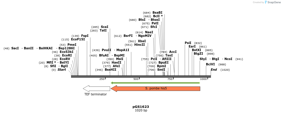 110129_map