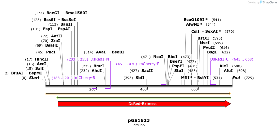 110130_map