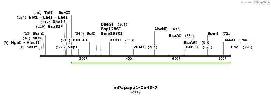 110131_map