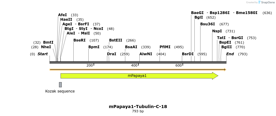 110134_map