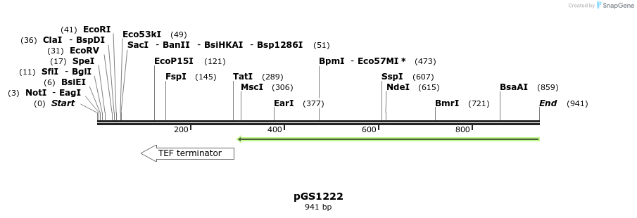 110135_map