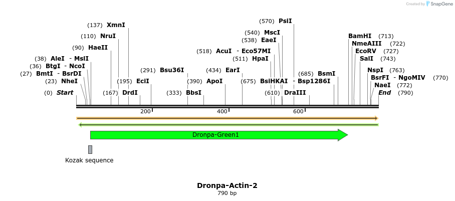 110137_map