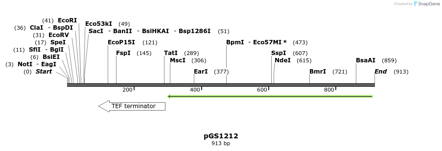 110138_map