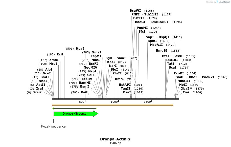 110139_map