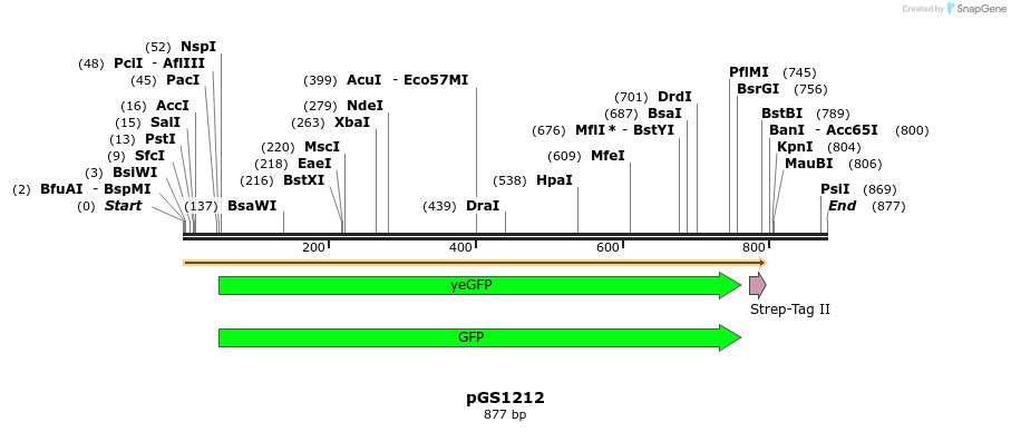 110140_map