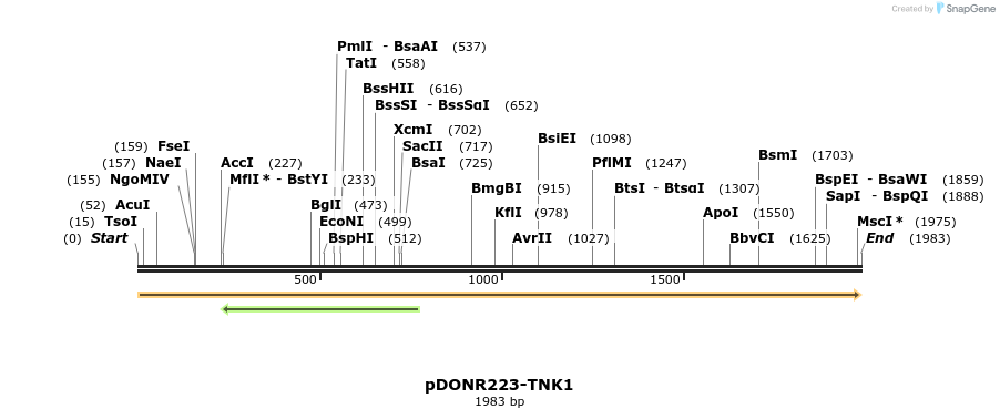 11015_map