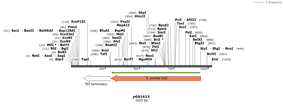 110151_map