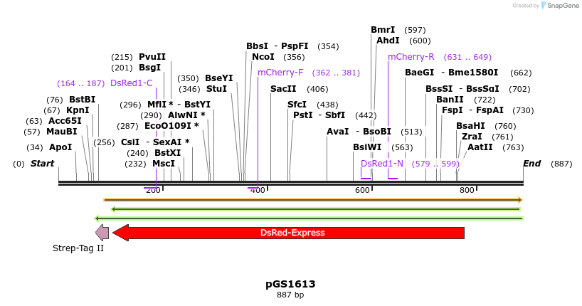 110153_map