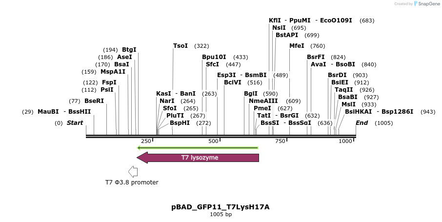 110154_map