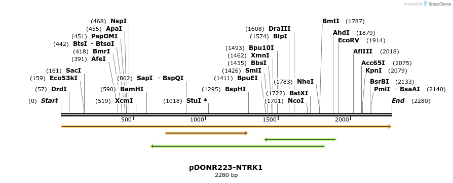 11018_map