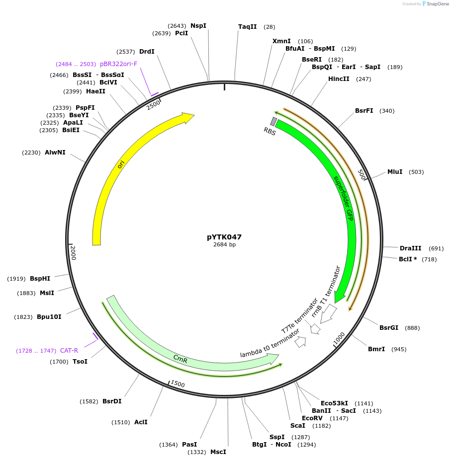 65154-plasmid-map-sequence-id-110207