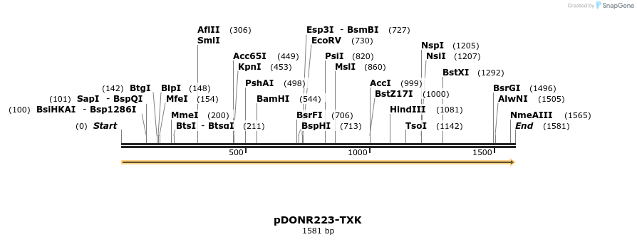 11023_map