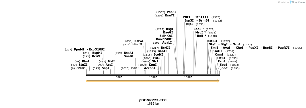 11024_map