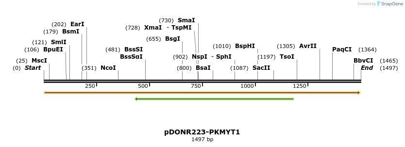 11025_map