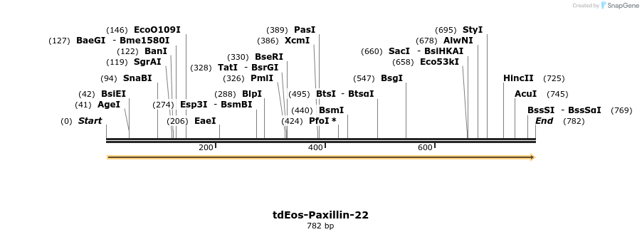 110260_map