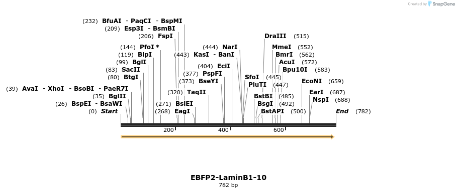110261_map