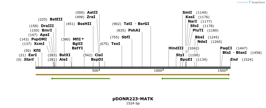 11027_map