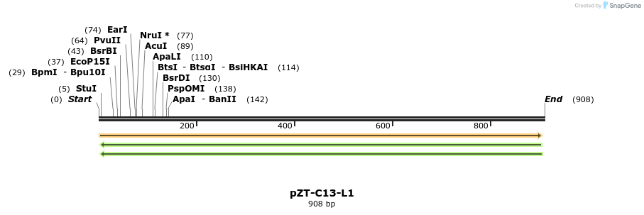 110270_map
