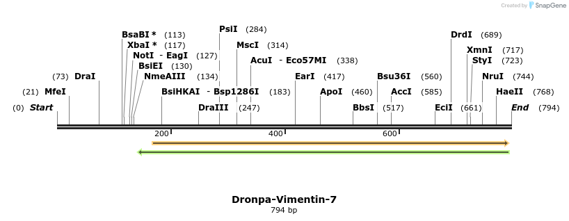 110271_map