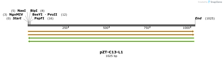 110273_map