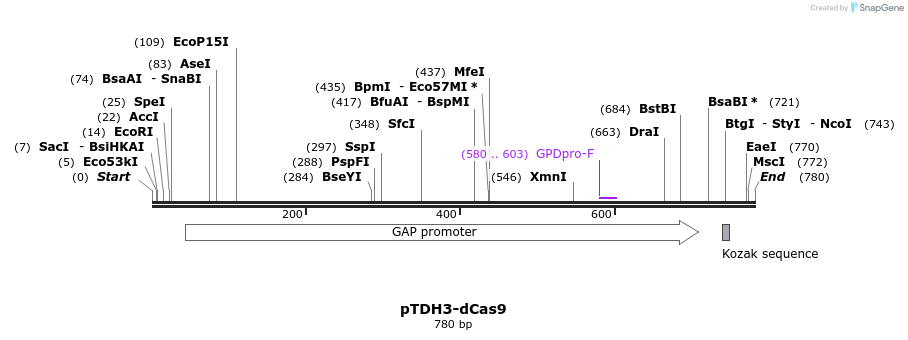 110274_map