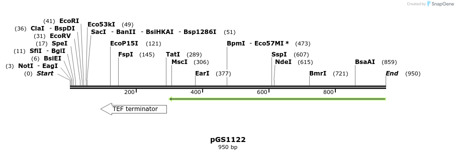 110277_map