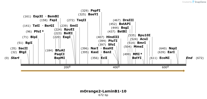 110278_map