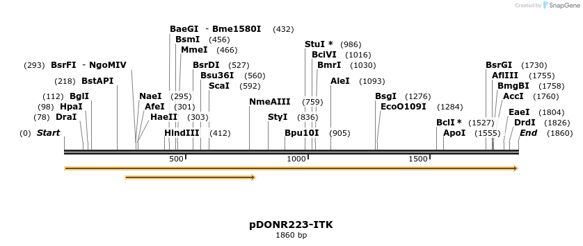 11028_map